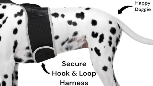 Mini Pet Tracking Device Collar Mount + Mobility Detector to Extend Battery Life Size:S