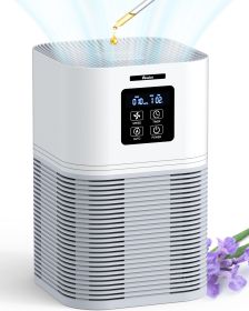 VEWIOR 2 in 1 Air Purifier with H13 Filters for Home Allergies Pets Hair Odor Eliminators, Aromatherapy Diffuser and Auto Mode