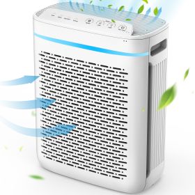 Air Purifier for Home; True HEPA Filter with 3-Stage Efficient Filtration System for Bedroom; Kitchen; Office; Baby